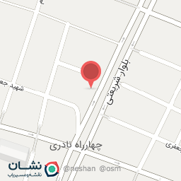 عکس کیف وکفش پادوکا