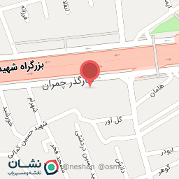 عکس دیتلینگ خودرو راسا