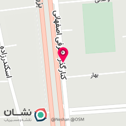 عکس آرایشگاه حیوانات خانگی و پت شاپ پتیوا