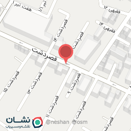 عکس کیف ونک