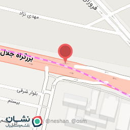 عکس فروزانفر