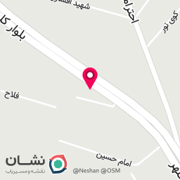 عکس پخش کشمش پلویی