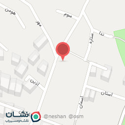 عکس گوریل برگر