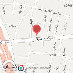 عکس تهیه غذای ادینه