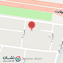 عکس دیتیلینگ علیزاده