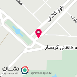 عکس کبابی امید دایی