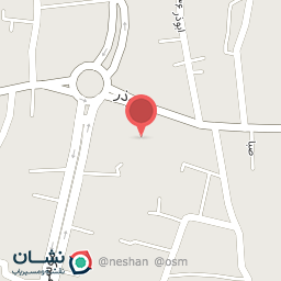 عکس پیتزا گردون