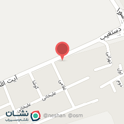 عکس فلافل بریان