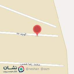 عکس کفش طنین