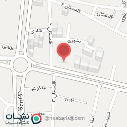 عکس تشک تن آسا