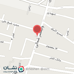 عکس کیف و کفش پارسه