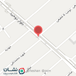 عکس گل شقایق