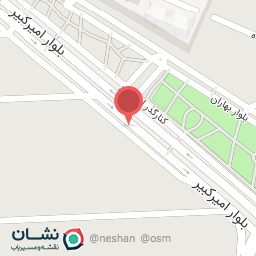 عکس الکتریکی نادر