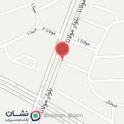 عکس گوشت و مرغ مزه