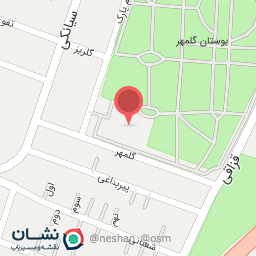 عکس باشگاه الزهرا