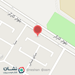 عکس امیر PDR