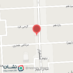 عکس هوم برگر نیلوفر