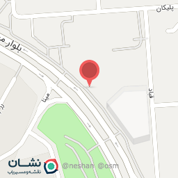 عکس پیتزا آزاد