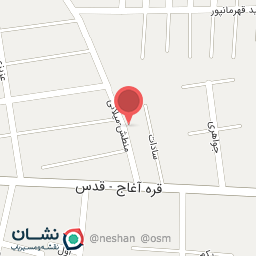 عکس شاهین یدک پارت (رهنما)