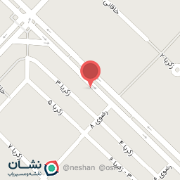 عکس سبزیجات آماده آلاشت