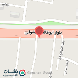 عکس پروتئینی امیر مسعود