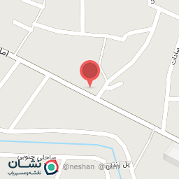 عکس پرنده فروشی مهاجر