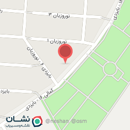 عکس شهید کمالی 16