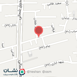 عکس دکتر لادن اردلانی