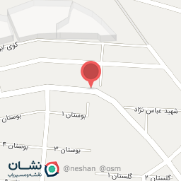 عکس مرغ پروتئین بابک