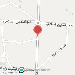 عکس کفش و کتونی حافظی