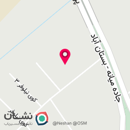 عکس آپاراتی و پنچرگیری برادران شیرازی