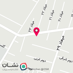 عکس پیتزا و فلافلی بهترین