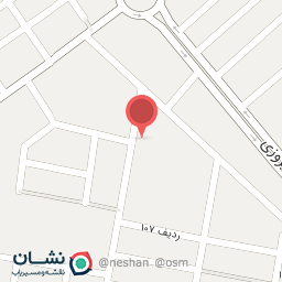 عکس رنگ آمیزی رضا