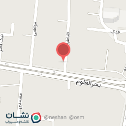 عکس فرش فرهی 