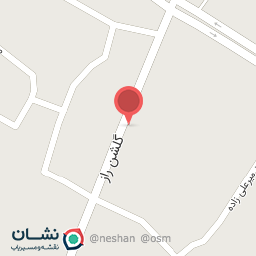 عکس فرش حسنی