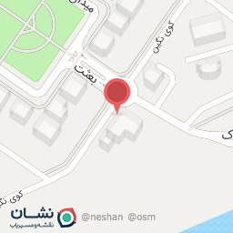 عکس پیتزا یگانه شعبه 2