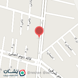 عکس پیتزا امید