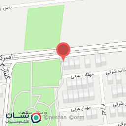 عکس پیتزا آس (پیتزا یک سابق)