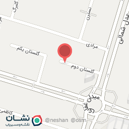 عکس راوین حساب پارس