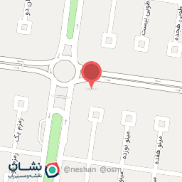 عکس گوشت و مرغ نخل