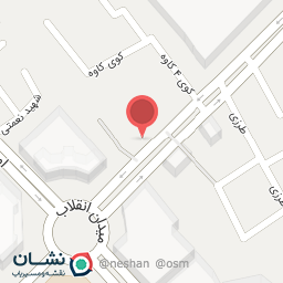 عکس گلدوزی محسن