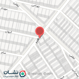 عکس الکتریکی 