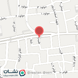 عکس فرش شیوا مدرن