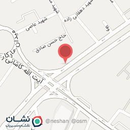 عکس پیتزا چوبی