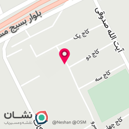 عکس مدرس پیانو و آواز