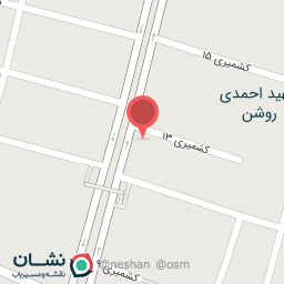 عکس مرغ بریان