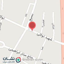 عکس کیف وکفش پارسیان