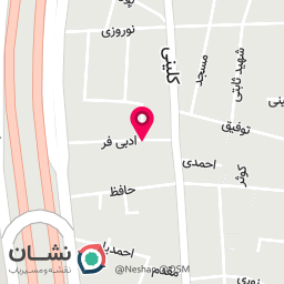 عکس بهزاد تراولز