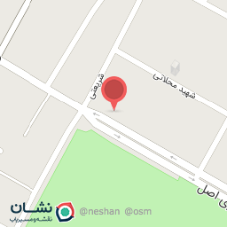 عکس الکتریکی علوی