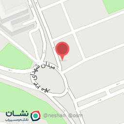 عکس پیتزا پاتاوی